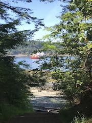 Salish 41